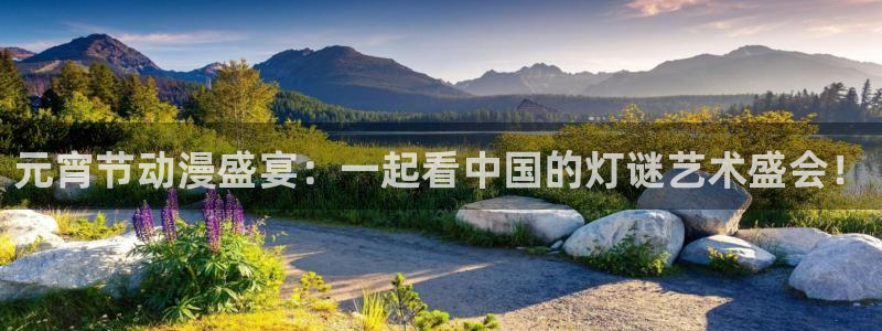 下载age动漫：元宵节动漫盛宴：一起看中国的灯谜艺术盛会！