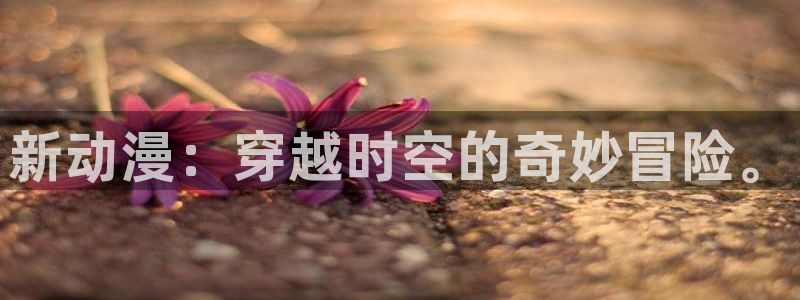age动漫正版网：新动漫：穿越时空的奇妙冒险。