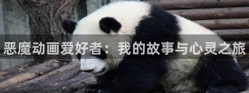age动漫网上看：恶魔动画爱好者：我的故事与心灵之旅