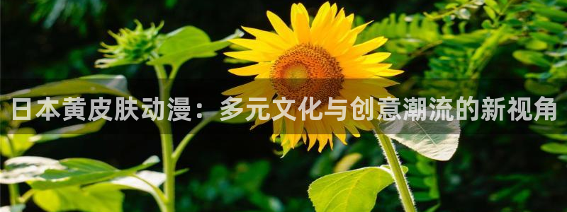 volcanicage漫画：日本黄皮肤动漫：多元文化与创意潮流的新视角