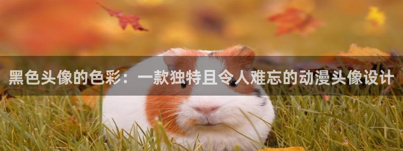 age樱花动漫：黑色头像的色彩：一款独特且令人难忘的动漫头像设计