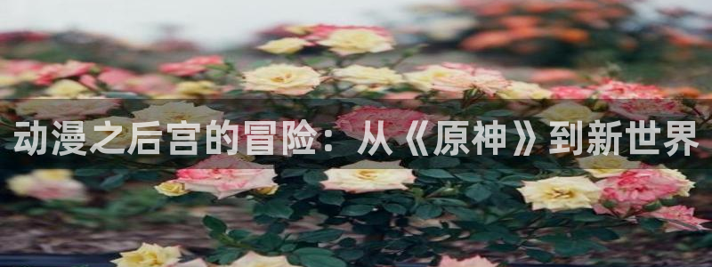 kakaopage韩漫官网：动漫之后宫的冒险：从《原神》到新世界