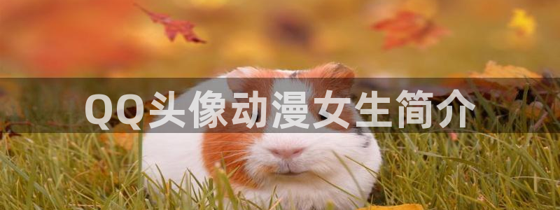 age动漫官网樱花动漫：QQ头像动漫女生简介