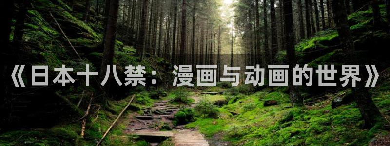 age动漫网：《日本十八禁：漫画与动画的世界》