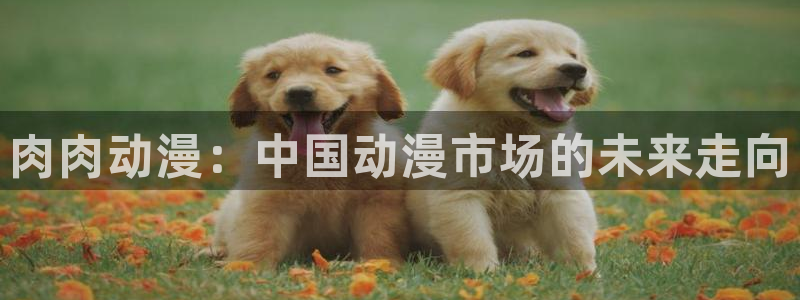 age动漫官网版入口：肉肉动漫：中国动漫市场的未来走向