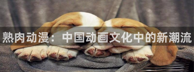 在线动画动漫下载age动漫：熟肉动漫：中国动画文化中的新潮流