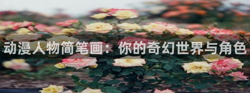 age动漫网：动漫人物简笔画：你的奇幻世界与角色