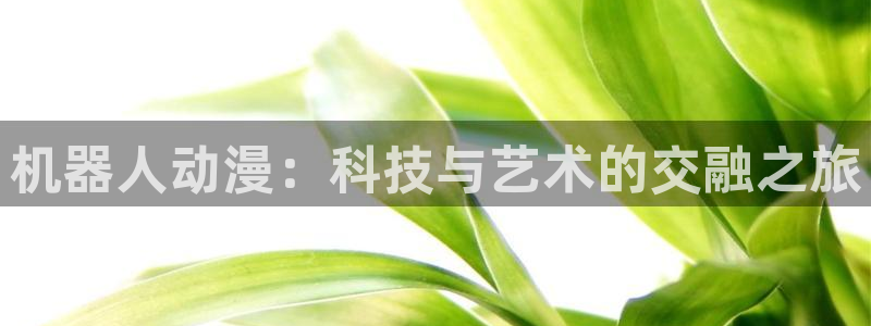 age动漫正版网：机器人动漫：科技与艺术的交融之旅